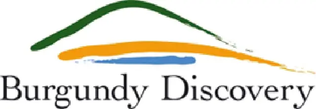 burgundy logo MintTwist