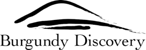 logo Burgundy Discovery B&W