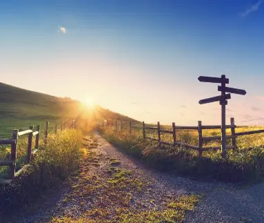 directional signs in Burgundy vineyards